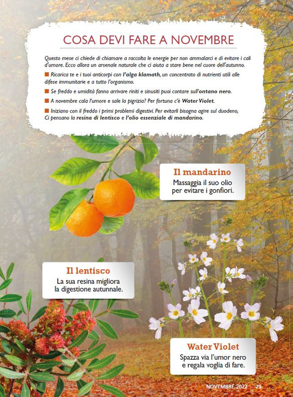 Sal Nat  Nov 2022 (2)