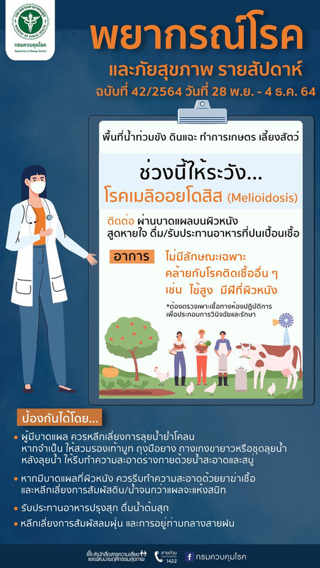 เตือนประชาชน ระวังป่วยโรคเมลิออยโดสิส พื้นที่ฝนตกน้ำท่วมขัง ผู้ที่มีบาดแผลให้หลีกเลี่ยงการเดินลุยน้ำย่ำโคลน