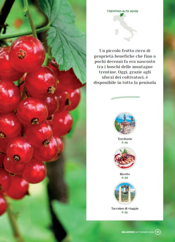 melaverde Set 2024 (6)