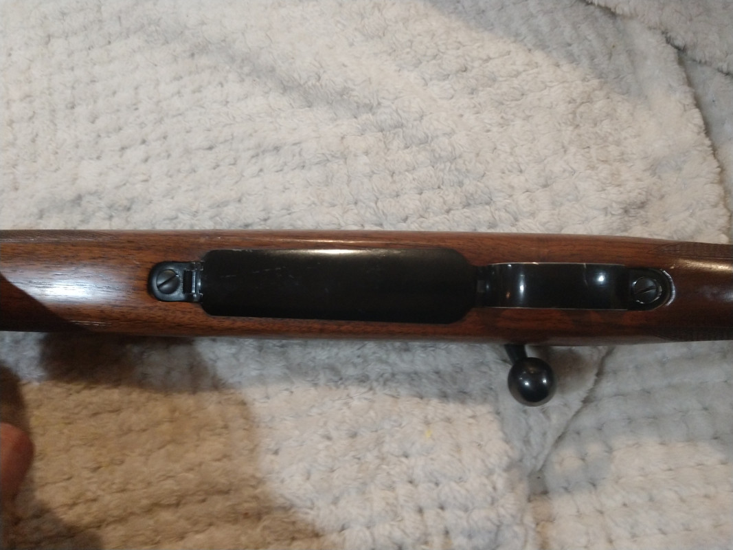 IMG_20191115_221509900_MP