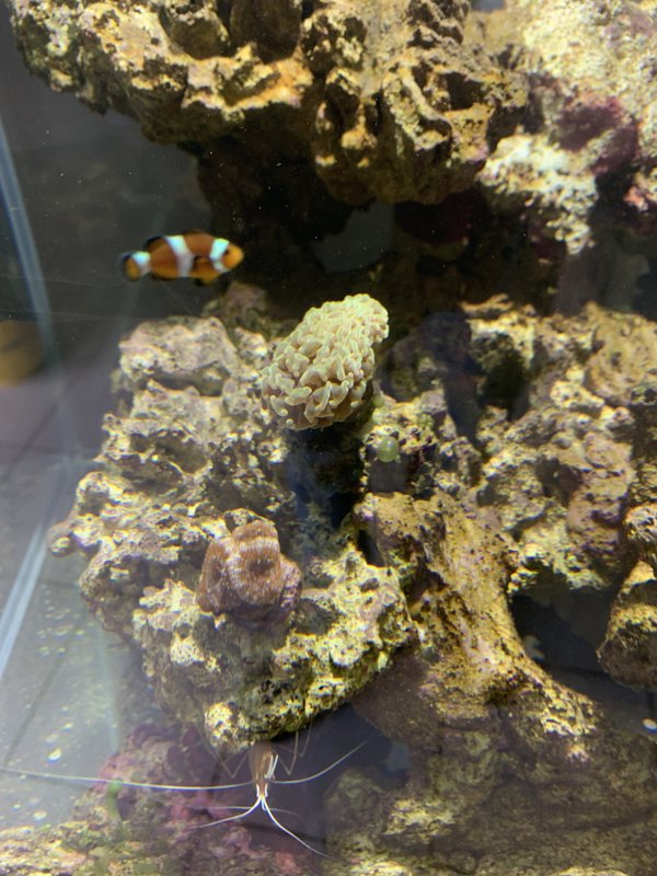 6E88005A-7CAE-4347-ACFA-38EE1DD5E61C