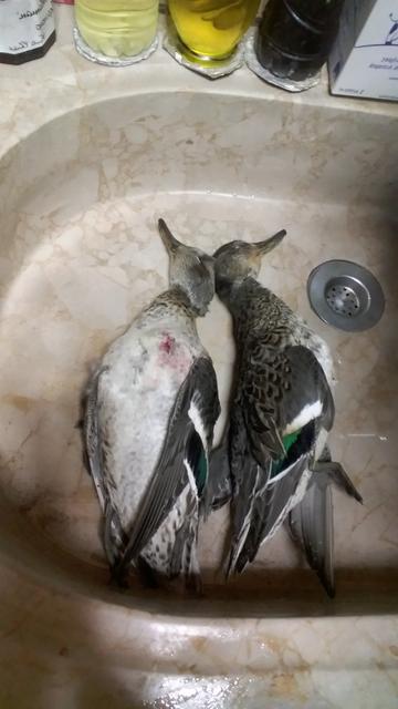 IMG_20181212_181928_868