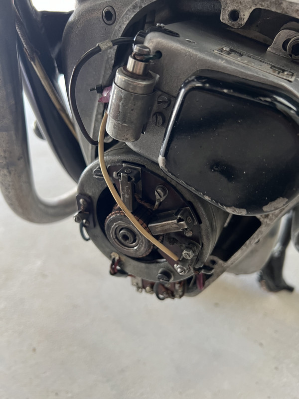IMG_6786