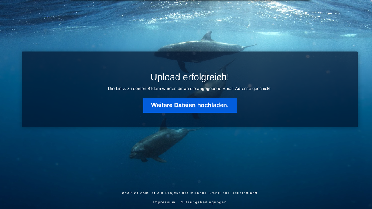 Screenshot 2024-09-03 16.11.56