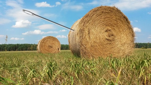 needle-in-a-haystack-1706106-1280.jpg