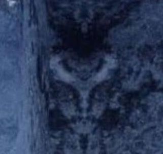 [Image: face.jpg]