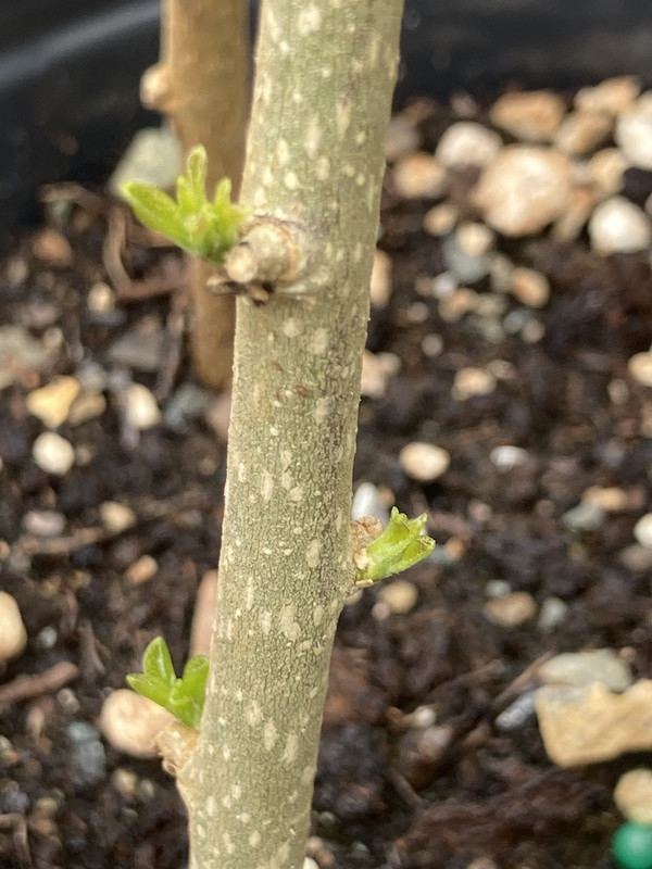 72CBDA49-1FE0-4FEC-8752-C02F1C9CC887