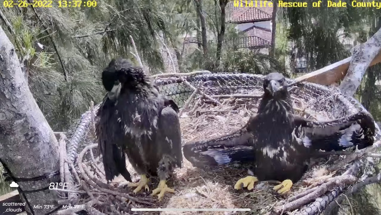 FF3FD7A7-7344-4ACE-BD8A-BE96044CA18B