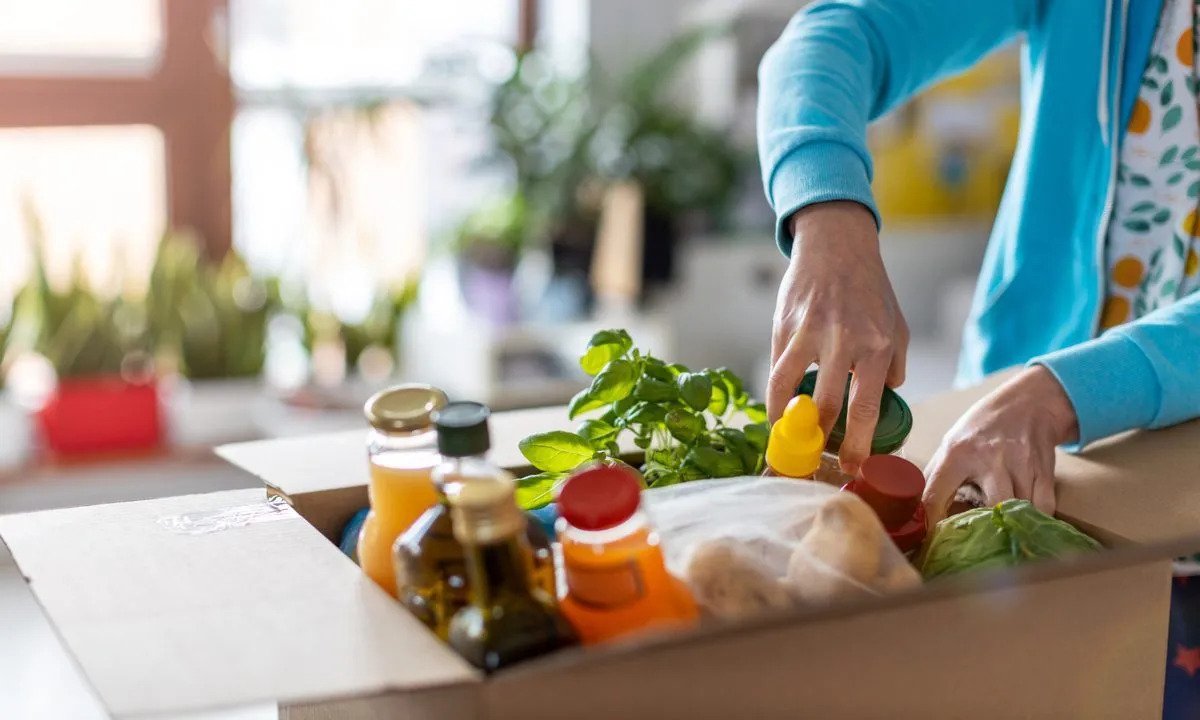 Major Advantages of Grocery Delivery Services