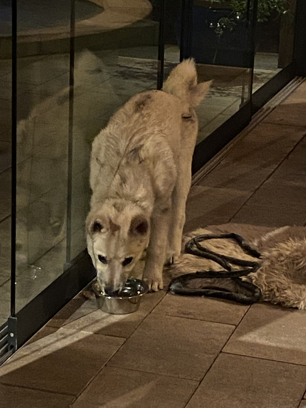 BE3E6E8C-73B5-4016-9A48-CFA1D00D3251