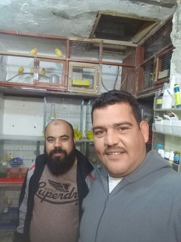 IMG-20180422-WA0033