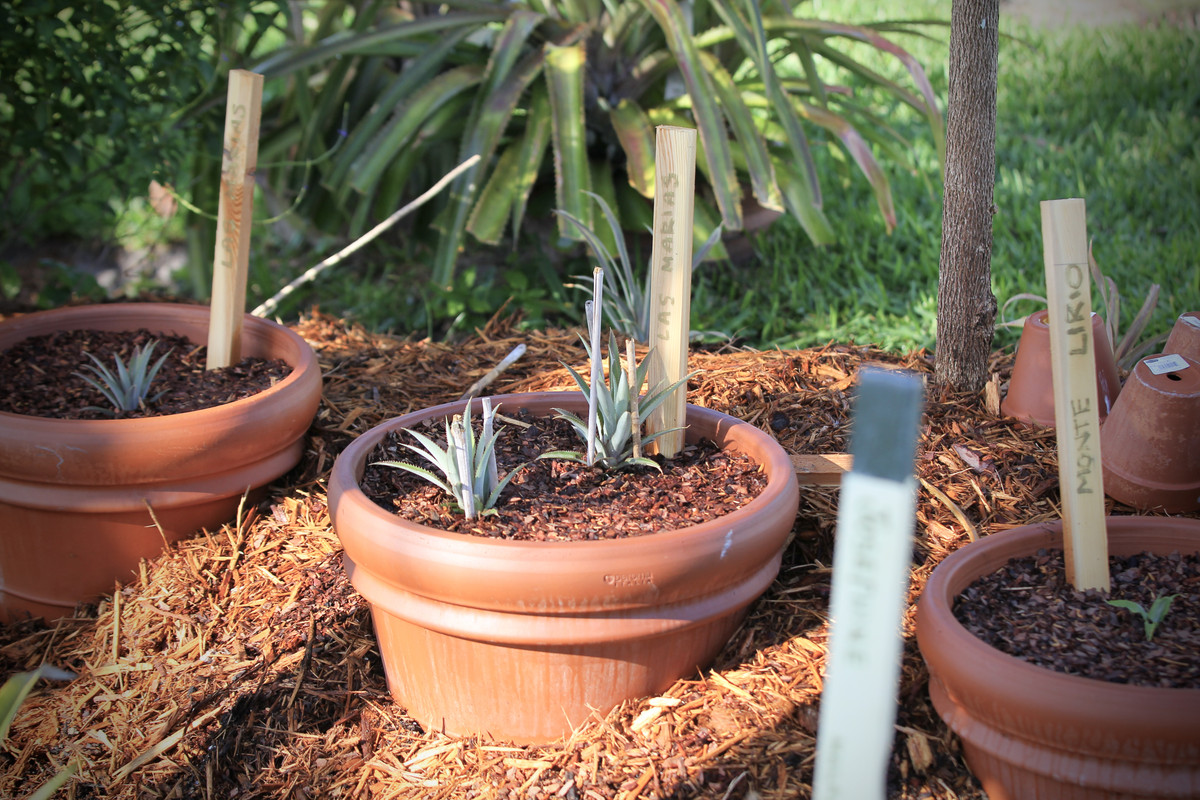 55F679C7-CB67-4748-BB53-9D1CC9D3B67F_1_201_a