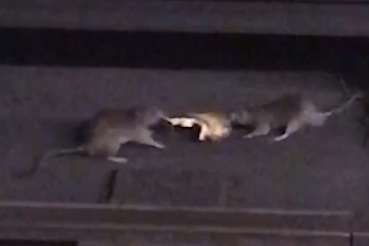 07379C80-15FD-452B-B396-F74911C203E3