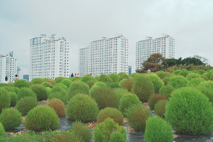 DSC02437