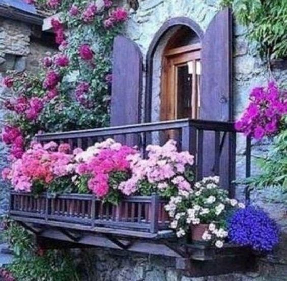 purplewindowflowers.jpg