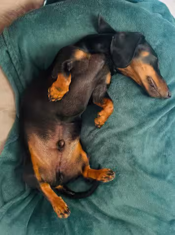 [Image: temp-Image-AAdv-Jy.avif]