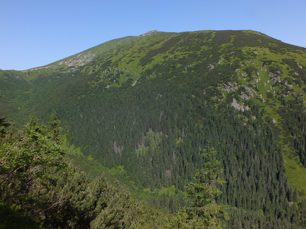 2019_0630DUMBIER0001