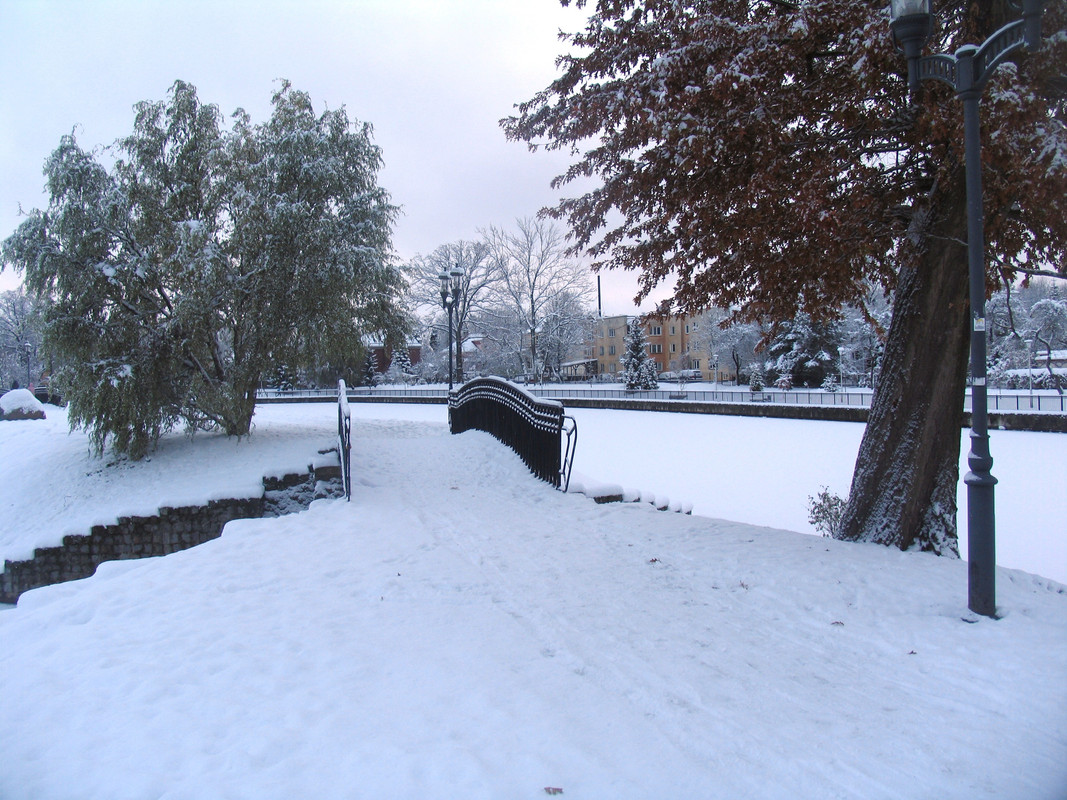 Ноябрь2023 093а