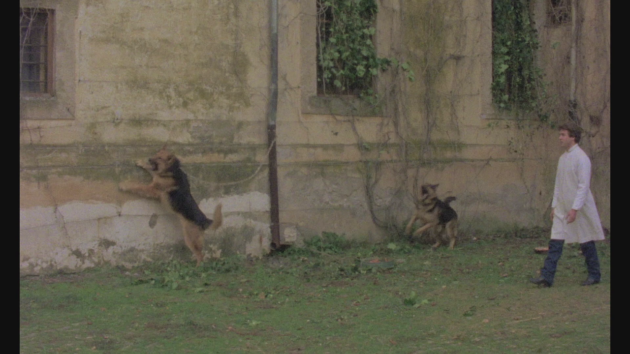 vlcsnap-2024-01-21-17h41m59s327