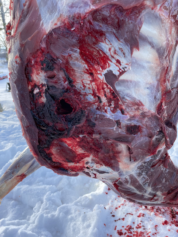 1D14BCD2-EC29-4383-A5FB-0E80CE6BA2B4