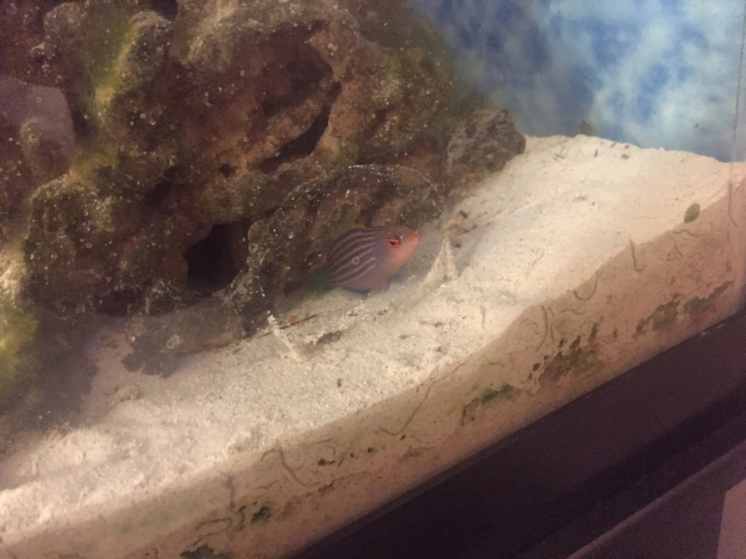 O7_w_h0qh_7Rizd8fSlCBrW6SRpZY7KY7DV1E7KWLhA copy