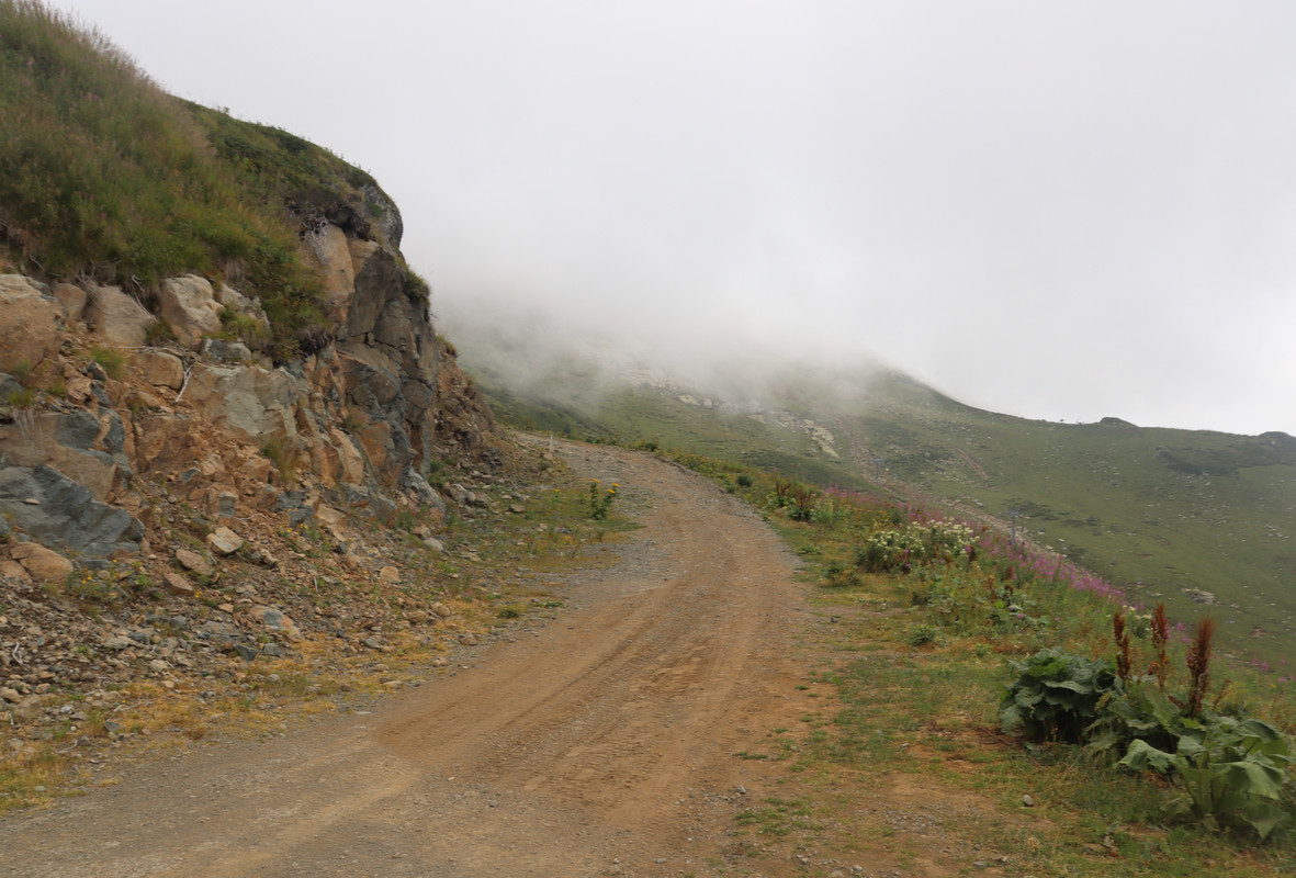 IMG-1015.jpg