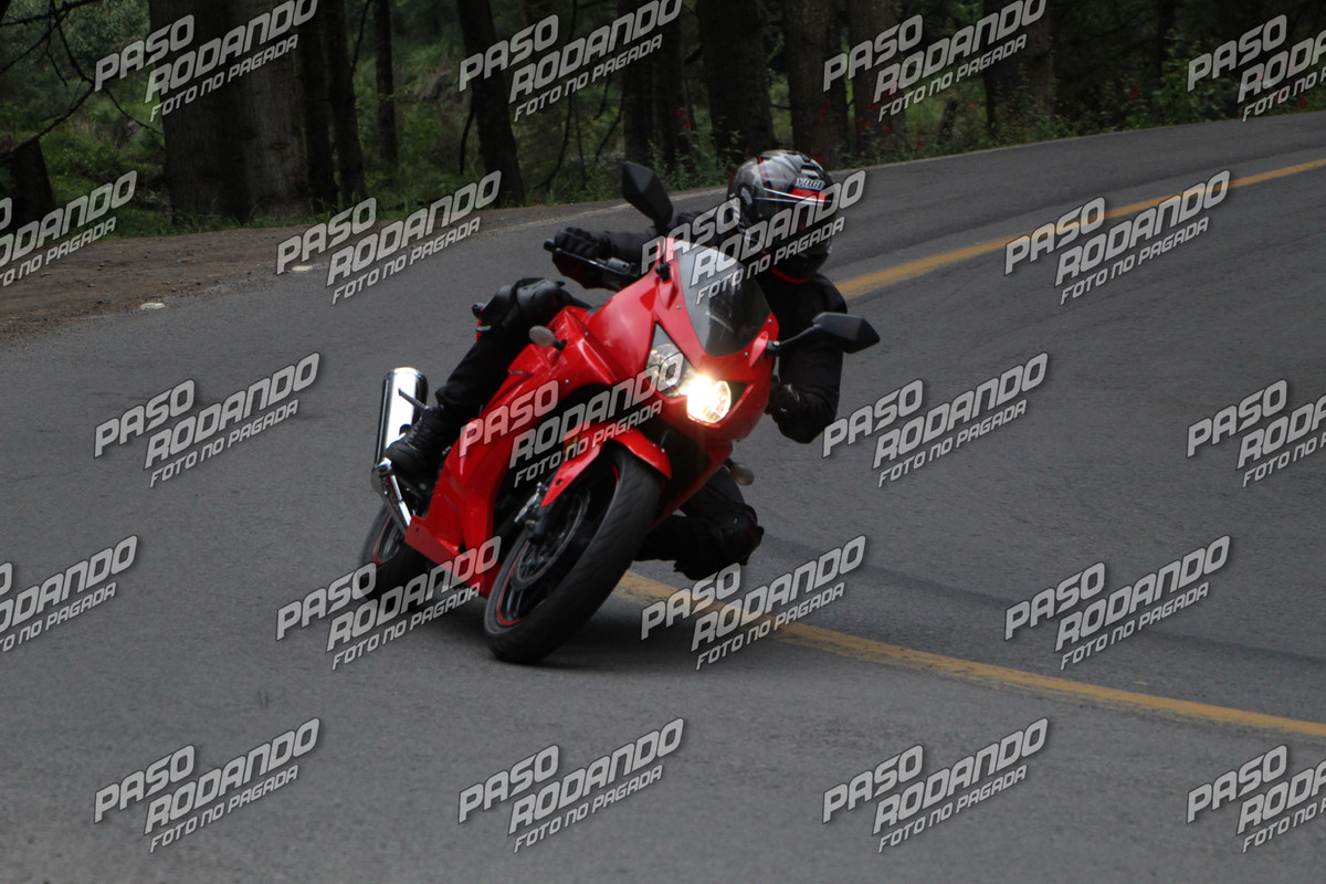 IMG 0039 wm 4327731 9 watermarked — Postimages