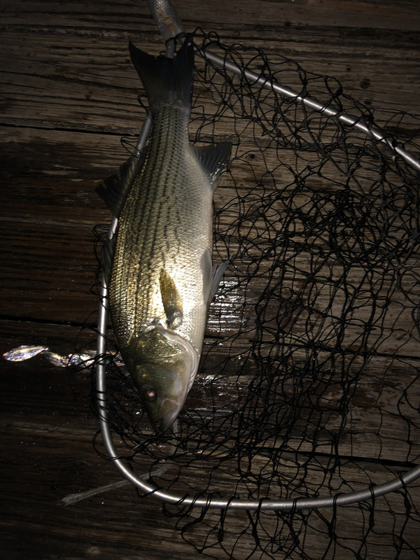 FF58611B-CA1D-4692-82B4-0DE1461C171E