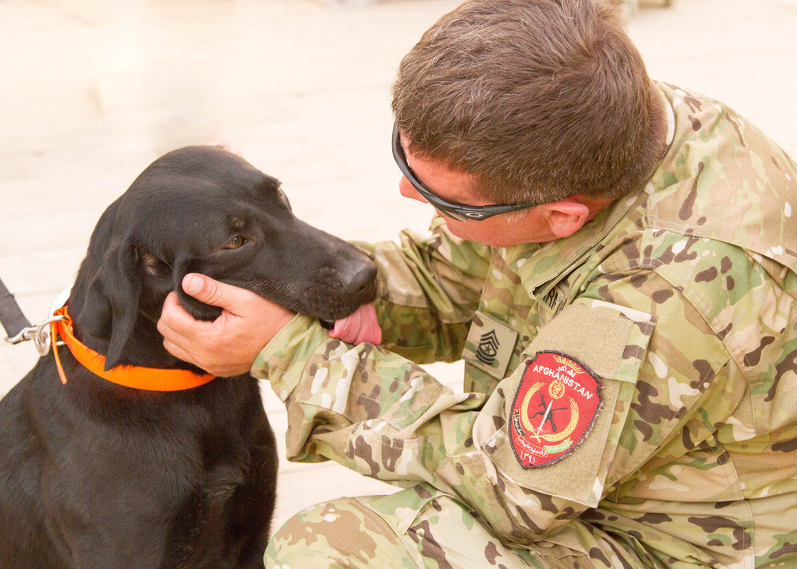 K9  U.S. Army Sgt. Maj. Cole Rich meets Steel