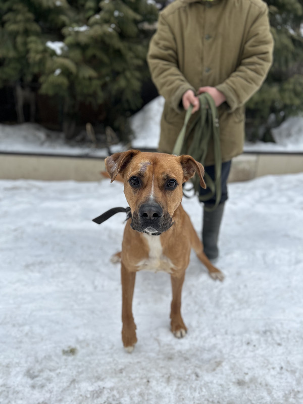 6D656107-29FB-438B-BE42-0E333C3DD6E7