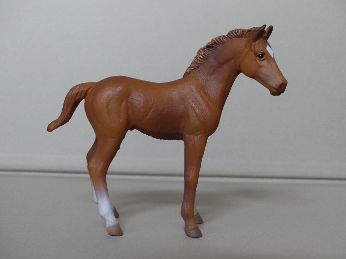 Pictures for Toy Animal Wiki - Page 14 Thoroughbred-Foal-Standing