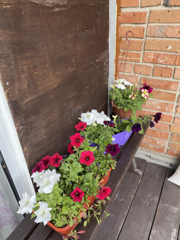 AFAE2BF0-15E7-4292-A10E-AE96D50E587F