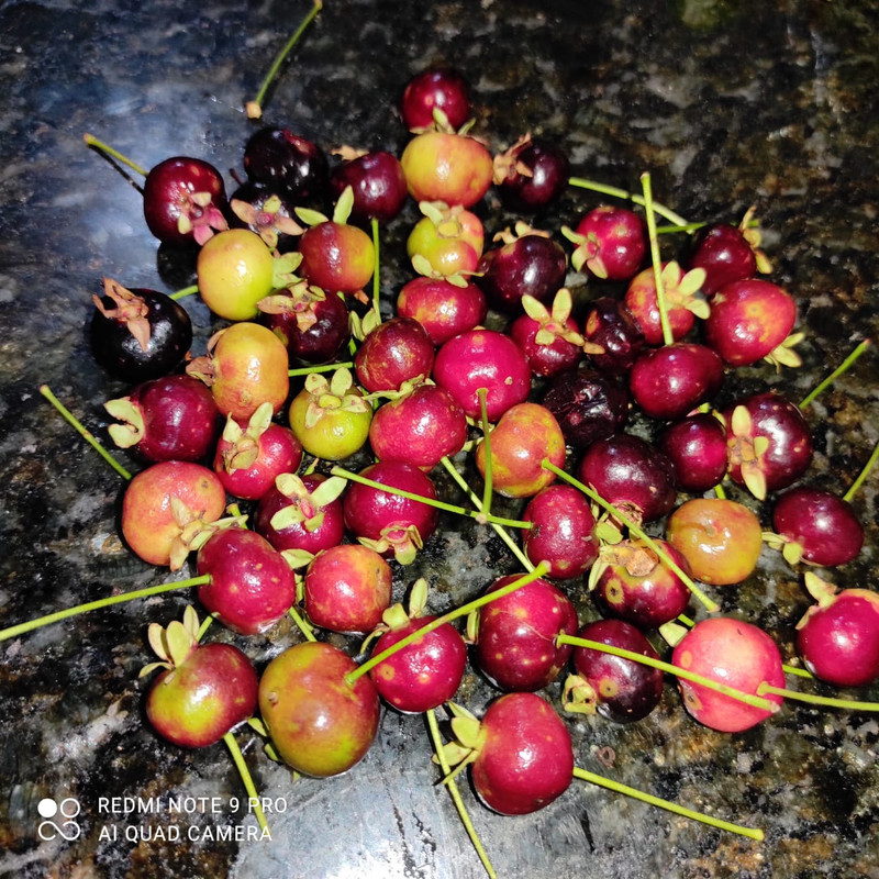 WhatsApp Image 2020-12-20 at 13.41.20 (10)