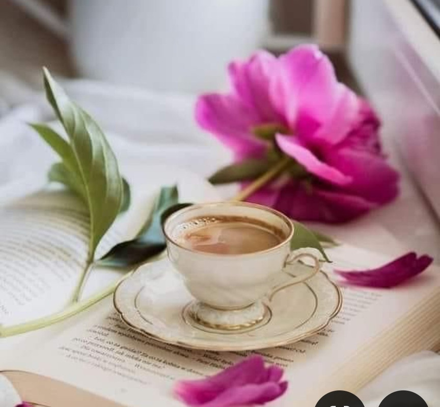 Screenshot_20240629_000851_Pinterest