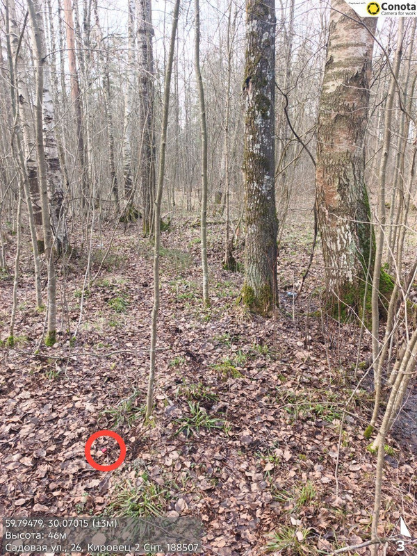 IMG 20260405 153810 881