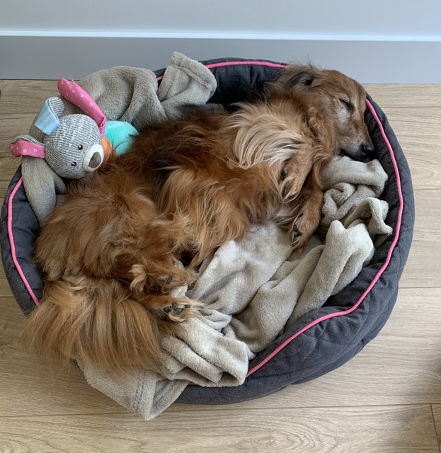 [Image: IMG-6660.jpg]