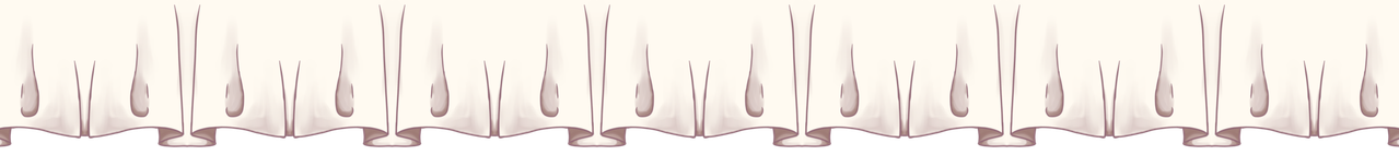 divider-2048x245-20250715145224.png divider-2048x245-20250715145224.png