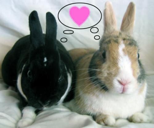 me and boyfie