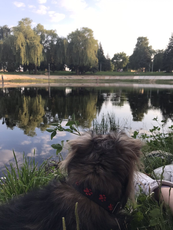 8832913E-06B0-4955-A65F-0AEDFDF3B08D