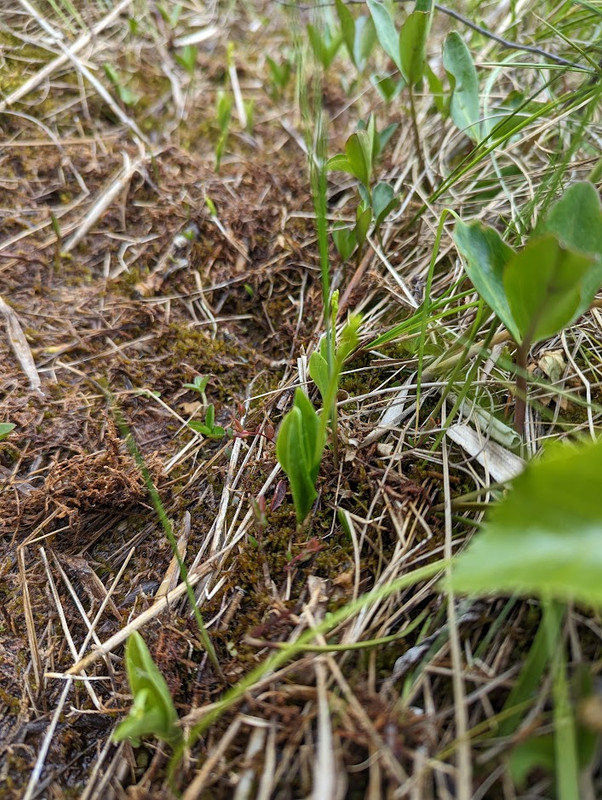 PXL_20230603_104625452