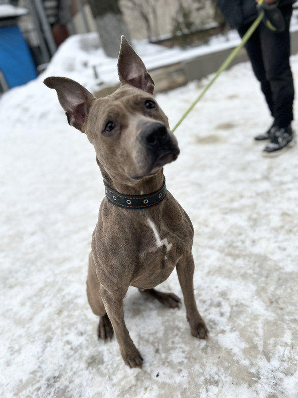 DC8F0E1E-190C-46EB-8B37-E9CCC4C95719