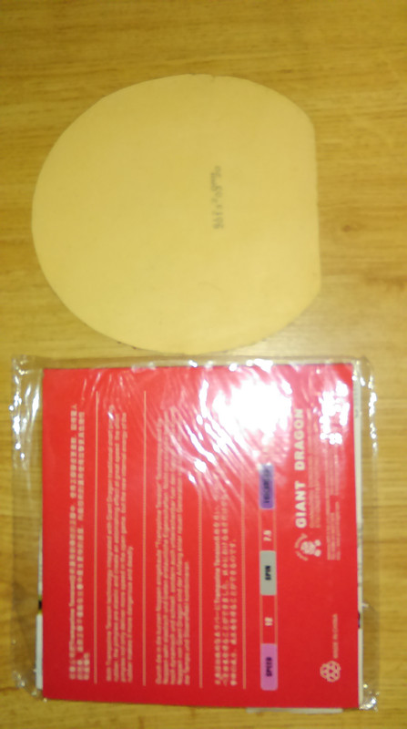 IMAG0337
