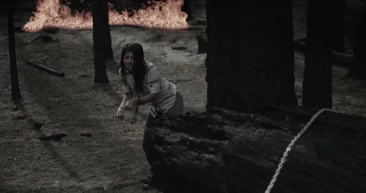 Cry Havoc 2020 HDRip XviD AC3 EVO