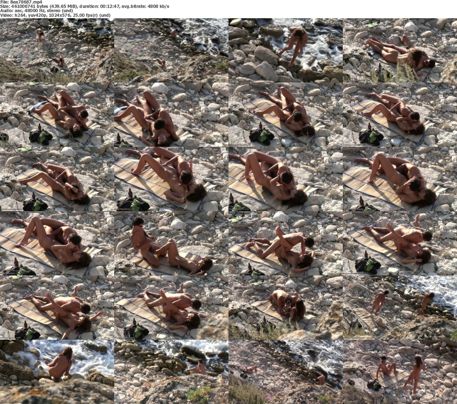 24112024122206screenshot