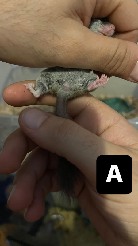 88F29E45-B1CF-4559-86CB-76C208E9E793