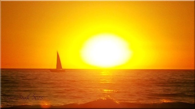 [Image: venice-beach-1.jpg]