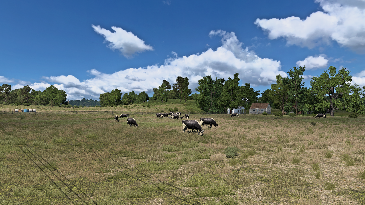 Zrzut ekranu (10077)