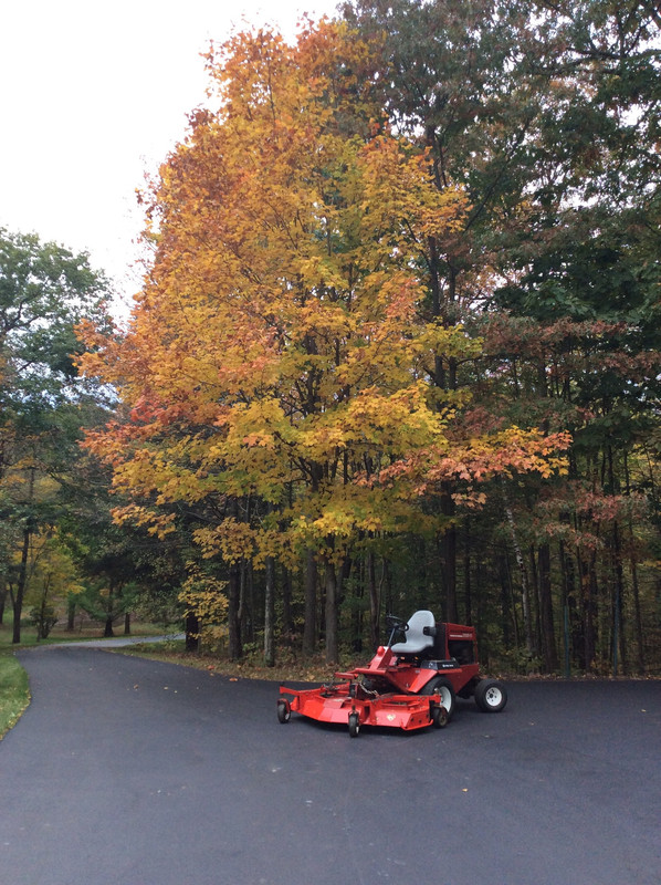 7CA1B937-54FF-4D69-BE39-F8DE2C23D0B0