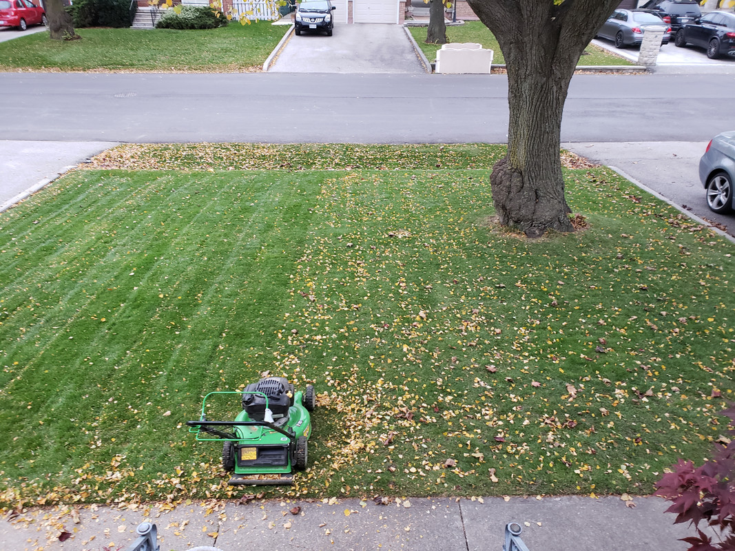 Better leaf mulching with damp leaves Lawn Care Forum
