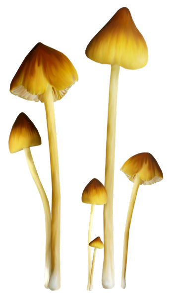 TADD_elements_ShimmerFall (85)